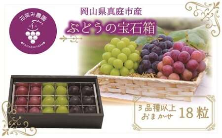 【2026年先行予約】 花笑み農園 岡山 『ぶどうの宝石箱』 ３種以上（18粒入り） 【hana050-02】