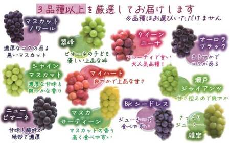 【2026年先行予約】 花笑み農園 岡山 『ぶどうの宝石箱』 ３種以上（18粒入り） 【hana050-02】