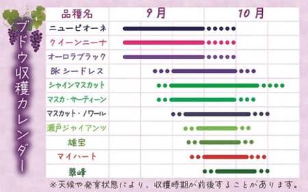【2026年先行予約】 花笑み農園 岡山 『ぶどうの宝石箱』 ３種以上（18粒入り） 【hana050-02】