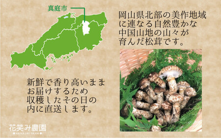【2026年先行予約】 花笑み農園 岡山の『松茸』200g 【hana011-02】