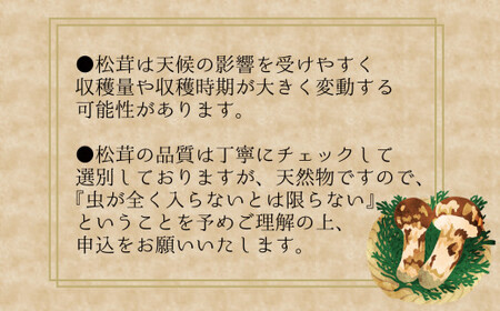 【2026年先行予約】 花笑み農園 岡山の『松茸』200g 【hana011-02】