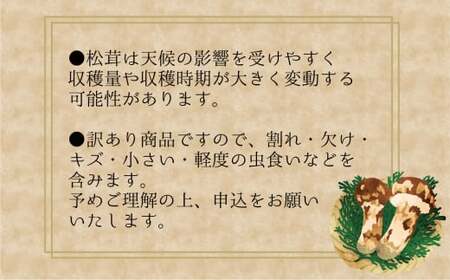 【2026年先行予約】花笑み農園　岡山の訳あり『松茸』100g 【hana078-02】