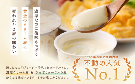 【定期便】全6回  ひるぜんジャージーヨーグルトセット ご当地ヨーグルトグランプリ金賞 デザート 蒜山酪農 真庭 岡山 乳製品 【hiru003-01tk】