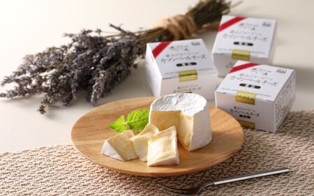 蒜山ジャージー乳製品ご当地グランプリセット 【hiru017-02】