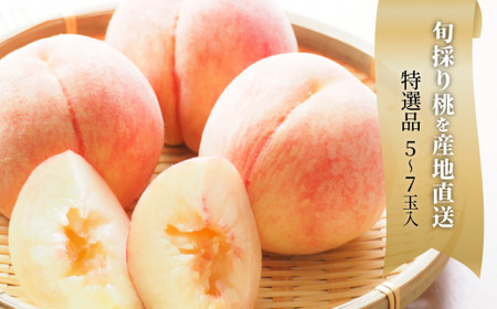 【2026年先行予約】旬採り桃 特選品 5-7玉 (岡山県産) 【KF-A001-02】