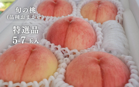 【2026年先行予約】旬採り桃 特選品 5-7玉 (岡山県産) 【KF-A001-02】