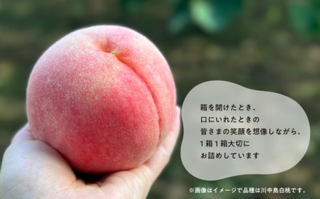 【2026年先行予約】旬採り桃 特選品 5-7玉 (岡山県産) 【KF-A001-02】