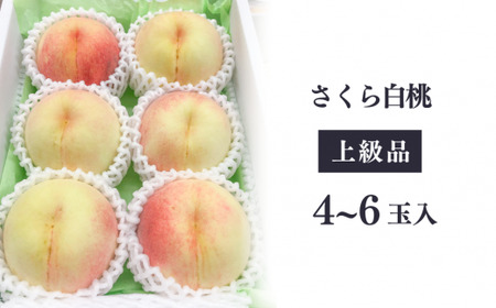 【2026年先行予約】さくら白桃（上級品）4-6玉入 (岡山県産)【KF-A010-02】