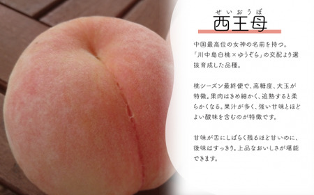 【2026年先行予約】西王母（上級品）4-6玉入 (岡山県産) 【KF-A011-02】