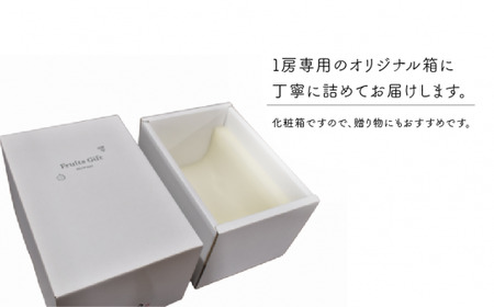 【2026年先行予約】シャインマスカット 1房入 /500g以上 (岡山県産) 【KF-B008-02】