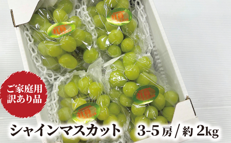 【2026年先行予約】訳ありだけど、甘～いシャインマスカット/約2kg (岡山県産) 【KF-B020-03】