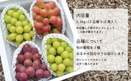 【2026年先行予約】ぶどう3品種詰め合わせ(シャインマスカット入り)3-5房入/計2.4kg~ (岡山県産) 食べ比べ 【KF-B032-02】