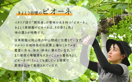 【2026年先行予約】シャインマスカット&ニューピオーネ 3-5房/計2.0kg~ (岡山県産) 【KF-B070-03】