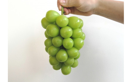 【2026年先行予約】シャインマスカット&ニューピオーネ 3-5房/計2.0kg~ (岡山県産) 【KF-B070-03】