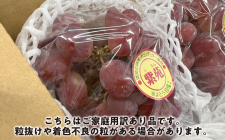 【2026年先行予約】訳ありご家庭用 紫苑(しえん)/ 約2.4kg (岡山県産) 【KF-B085-02】