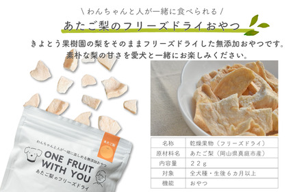 【きよとうファーム】あたご梨のフリーズドライおやつ (岡山県産)【KF-F001-01】