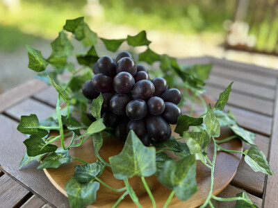 【きよとうファーム】薫り高い黒ぶどう「黒いアルファ」のロゼワイン「BLACK DAWN」 (岡山県産)【KF-S010-03】