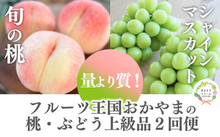 【2026年先行予約】量より質！桃とシャインマスカット、上級品の2回便(定期便) (岡山県産) / 7月9月【KF-T018-04】