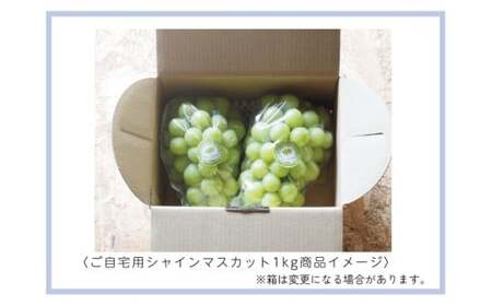【2026年先行予約】 シャインマスカット 2~3房 1kg以上 【ご家庭用】 ここちとふぁーむ 岡山県産シャインマスカット 【koko002-02】