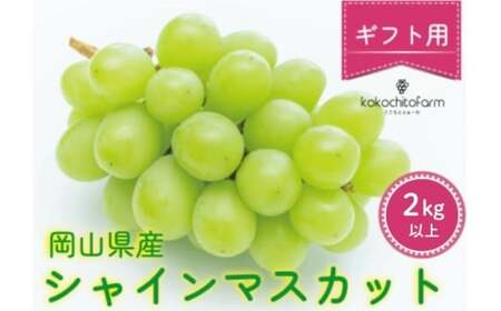 【2026年先行予約】 ここちとふぁーむ 【ギフト】 岡山県産 シャインマスカット 3～5房 2kg以上 【koko004-02】