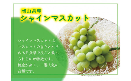 【2026年先行予約】 ここちとふぁーむ 【ギフト】 岡山県産 シャインマスカット 3～5房 2kg以上 【koko004-02】