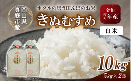 【令和７年産】 真庭市産きぬむすめ 白米 10kg /岡山県 竹中商店 先行予約 【tkns006-01】