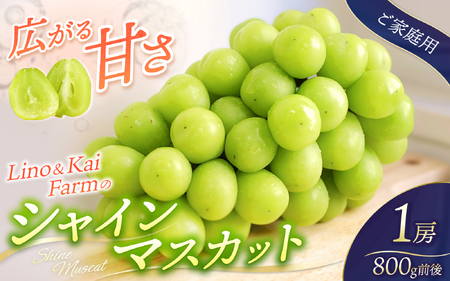 【2026年先行予約】 ご家庭用 Lino＆Kai Farmのシャインマスカット 1房 （約800g）化粧箱入 ぶどう 岡山 真庭市 シャインマスカット 【linokai007-02】