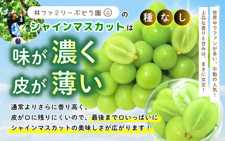 【訳あり】 ※2026年の予約です！※ 岡山県産 林ファミリーのシャインマスカット 約2kg（約3～5房）【2026年先行予約】 / ぶどう ブドウ シャインマスカット 葡萄 岡山 真庭市 果物 フルーツ 新鮮 人気 数量限定 お買い得 家庭用 お試し たっぷり ぶどう専門 【hfami022-02】