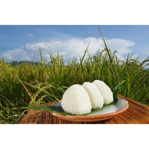 【令和7年産】 新米 真庭市産 ひとめぼれ 白米 １０kg(5kg×2袋） 岡山県 竹中商店 先行予約 【tkns002-01】