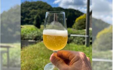 蒜山産クラフトビール 375ml×4本セット 地ビール お酒 岡山県 真庭市【tmizu001-02】