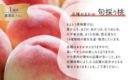 【2026年先行予約】量より質！厳選した大玉桃と大粒のシャインマスカットが届く２回便！ (定期便)(岡山県産)【KF-T063-01】