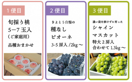 【2026年先行予約】旬採り桃とピオーネ、シャインマスカットが届く3回便!(定期便) (岡山県産)【KF-T001-03】