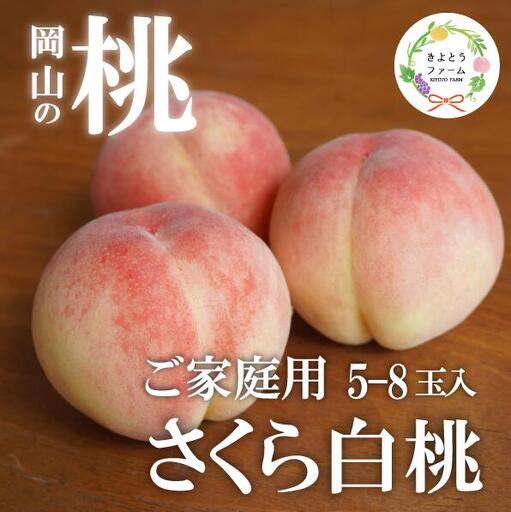 【2026年先行予約】さくら白桃(家庭用)5-8玉入 (岡山県産)【KF-A025-01】