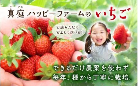 【贈答用】 高級いちご よつぼし すず 食べ比べセット (15粒 × 2箱) ゆりかご入り いちご 【hfpr001-01】