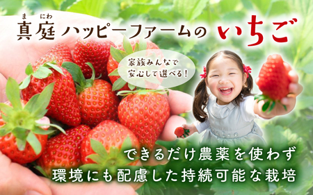 【贈答用】 高級いちご よつぼし すず 食べ比べセット (15粒 × 2箱) ゆりかご入り いちご 【hfpr001-01】