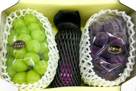 NISSHOKU　FARM　特選　大粒ぶどうとピオーネシロップのセット（シャインマスカット入り）岡山 【nisfarm011-01】