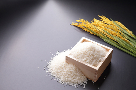 【令和7年産】 新米 太安さんちのあきたこまち 無洗米 10kg(5kg×2袋) 岡山県 【takenaka038-01】