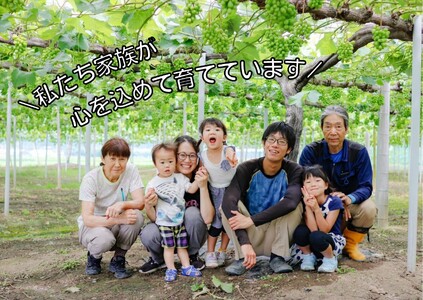 【2616-0301】[訳あり] フルーツ王国岡山 朝採り新鮮！人気ぶどう瀬戸ジャイアンツ 2kg