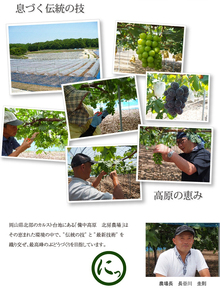 【2026年先行予約】NF-15.NISSHOKU FARM 特選大粒シャインマスカット岡山【nisfarm015-02】