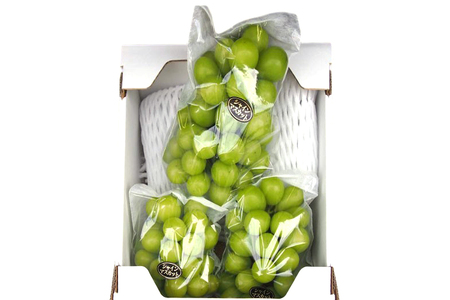 【2026年先行予約】NF-15.NISSHOKU FARM 特選大粒シャインマスカット岡山【nisfarm015-02】