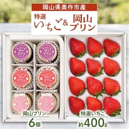 岡山県美作市産　特選いちご＆岡山プリン詰合せ(いちご約400g、プリン6個)_果物・フルーツ いちご  イチゴ 苺  菓子・スイーツ プリン  _【配送不可地域：離島・北海道・沖縄県】【1073698】