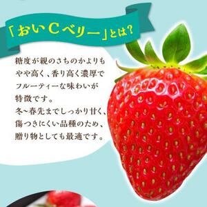 岡山県美作市産 おいCベリー(約280g×2パック)_果物・フルーツ いちご イチゴ 苺_【配送不可地域:離島・北海道・沖縄県】【1464410】