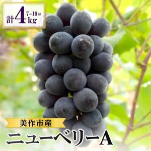 岡山県美作市産 ニューベリーA 約4kg(7~10房)_果物・フルーツ ぶどう・マスカット ブドウ 葡萄 _【配送不可地域:離島・北海道・沖縄県】【1477225】