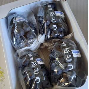 岡山県美作市産 ニューベリーA 約4kg(7~10房)_果物・フルーツ ぶどう・マスカット ブドウ 葡萄 _【配送不可地域:離島・北海道・沖縄県】【1477225】