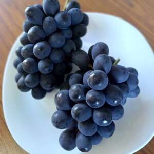 岡山県美作市産 ニューベリーA 約4kg(7~10房)_果物・フルーツ ぶどう・マスカット ブドウ 葡萄 _【配送不可地域:離島・北海道・沖縄県】【1477225】