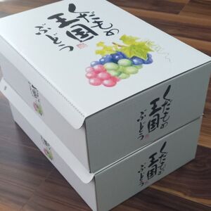 岡山県美作市産 ニューベリーA 約4kg(7~10房)_果物・フルーツ ぶどう・マスカット ブドウ 葡萄 _【配送不可地域:離島・北海道・沖縄県】【1477225】