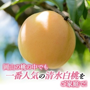 2026年先行予約　ご家庭用 岡山 清水白桃2kg(6玉～9玉)_果物・フルーツ もも  モモ 桃_【配送不可地域：離島】【1498678】