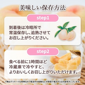 2026年先行予約　ご家庭用 岡山 清水白桃2kg(6玉～9玉)_果物・フルーツ もも  モモ 桃_【配送不可地域：離島】【1498678】