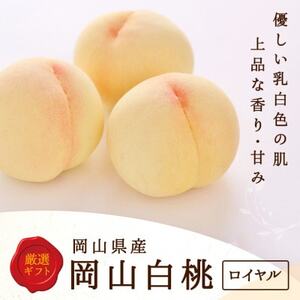 【2026年発送】岡山県産　白桃 6玉 (1.5kg以上) 等級:ロイヤル 化粧箱入り_果物・フルーツ もも  モモ 桃_【配送不可地域：離島・北海道・沖縄県】【1505624】