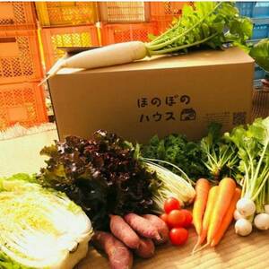 【畑から直送】岡山美作産　旬を楽しみ味覚を育む野菜約8種(約5kg)_野菜 玉ねぎ  たまねぎ タマネギ  野菜 じゃがいも いも ジャガイモ 馬鈴薯  野菜 さつまいも いも サツマイモ 薩摩芋  野菜  いも イモ 芋  野菜 人参 根菜 にんじん ニンジン  野菜 大根 根菜 だいこん ダイコン  野菜 にんにく・生姜 根菜 ニンニク にんにく しょうが ショウガ  野菜  根菜   野菜 かぼちゃ  カボチャ 南瓜  野菜 茄子  なす ナス  野菜 レタス    野菜   _【配送不可地域：離島】【1524200】